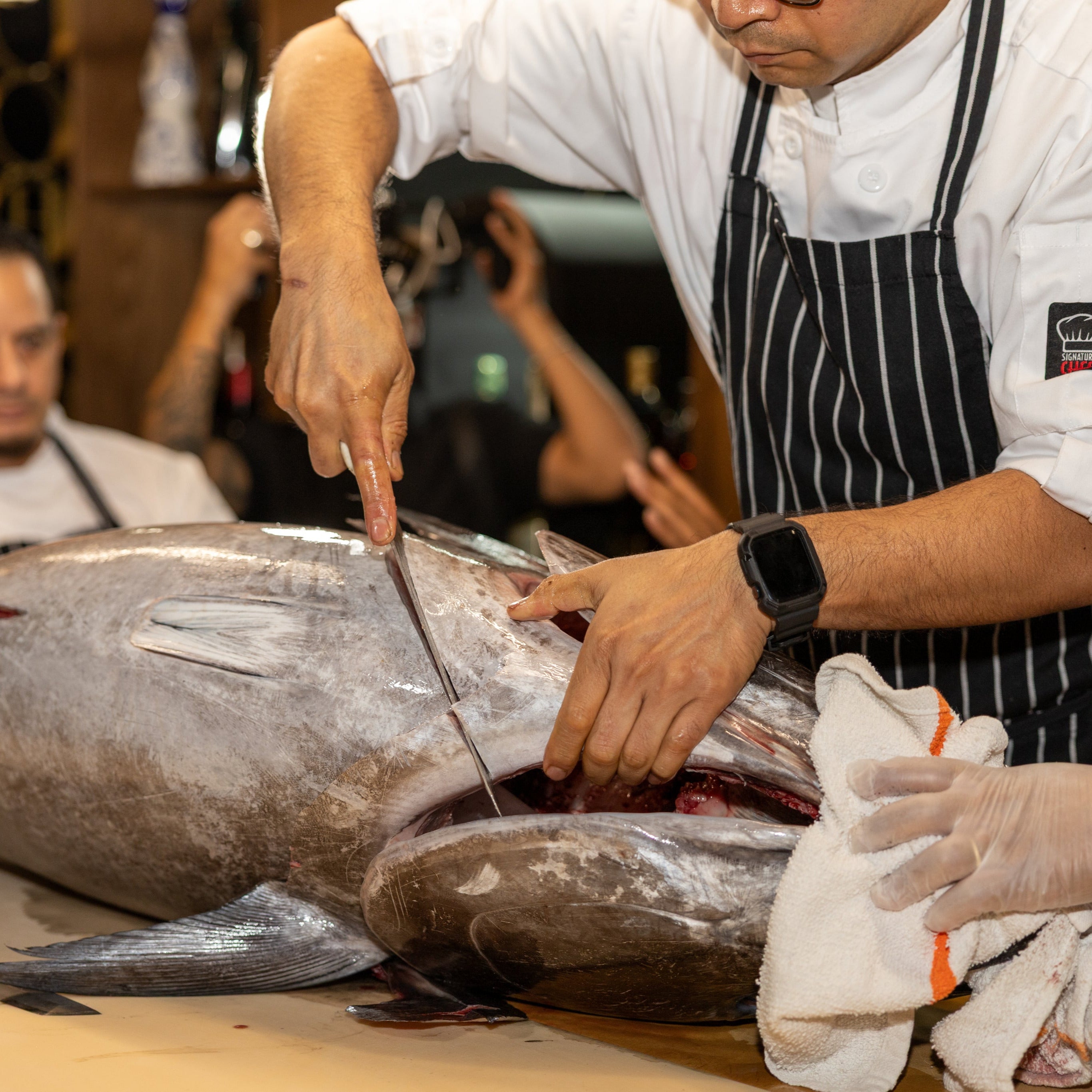 BLUEFIN TUNA CUTTING CEREMONY event